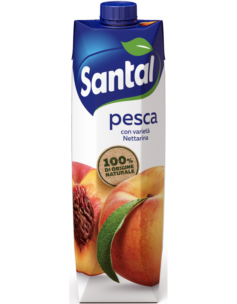 Santal succo pesca lt.1