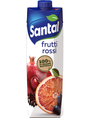 Santal succo 10 vitamine frut.rossi lt.1