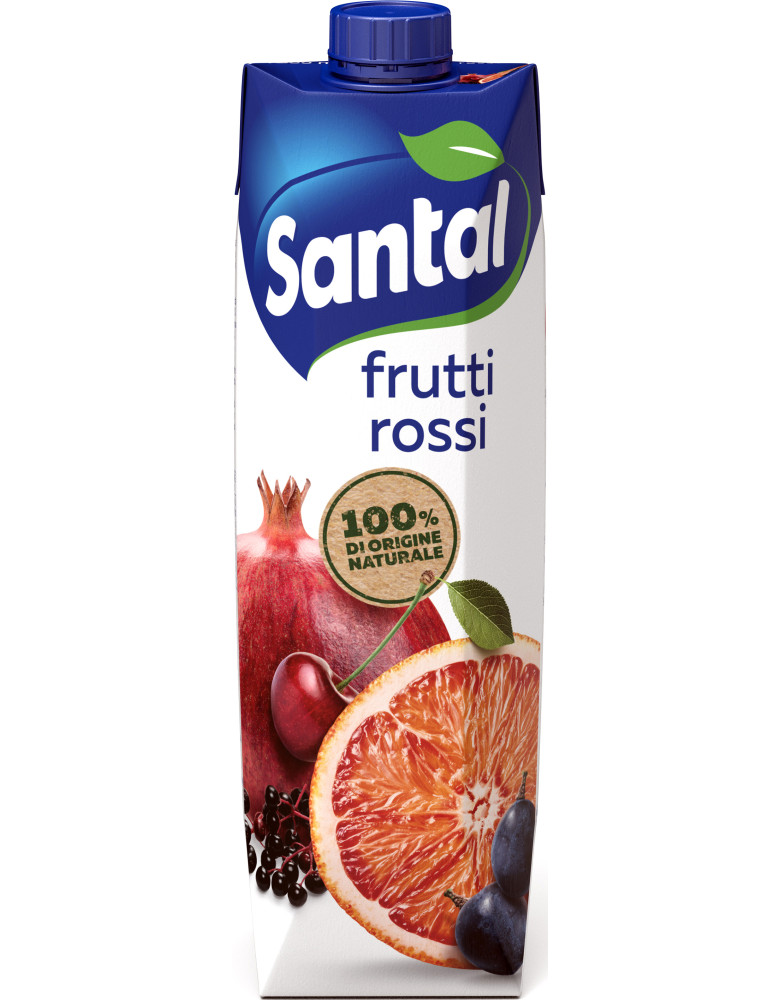 Santal succo 10 vitamine frut.rossi lt.1
