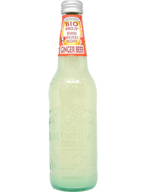 Galvanina ginger beer bio ml.355 vap