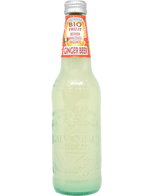 Galvanina ginger beer bio ml.355 vap