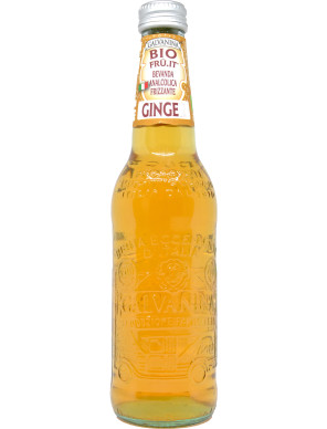 Galvanina ginger bio ml.355 vap