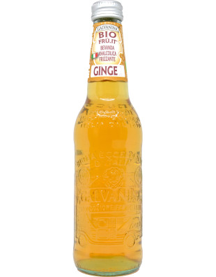 Galvanina ginger bio ml.355 vap