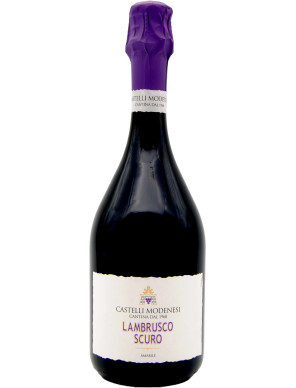 Castelli modenesi lambrusco scur am cl75